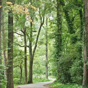 Arrow the Freedom&nbsp;Park