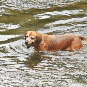 Play on the&nbsp;water