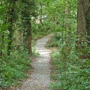 Charlotte,Trail  Nature Museum
