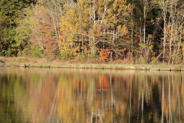 at Mc Alpine Creek Park 