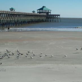 Folly Beach SC