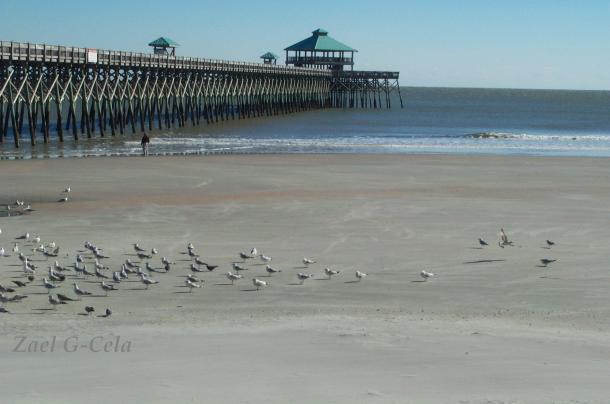 Folly Beach SC