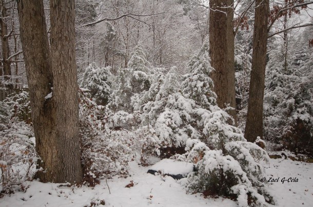 Snow time on Charlotte