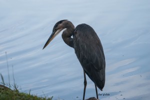 McAlpine Creek Park Charlotte NC